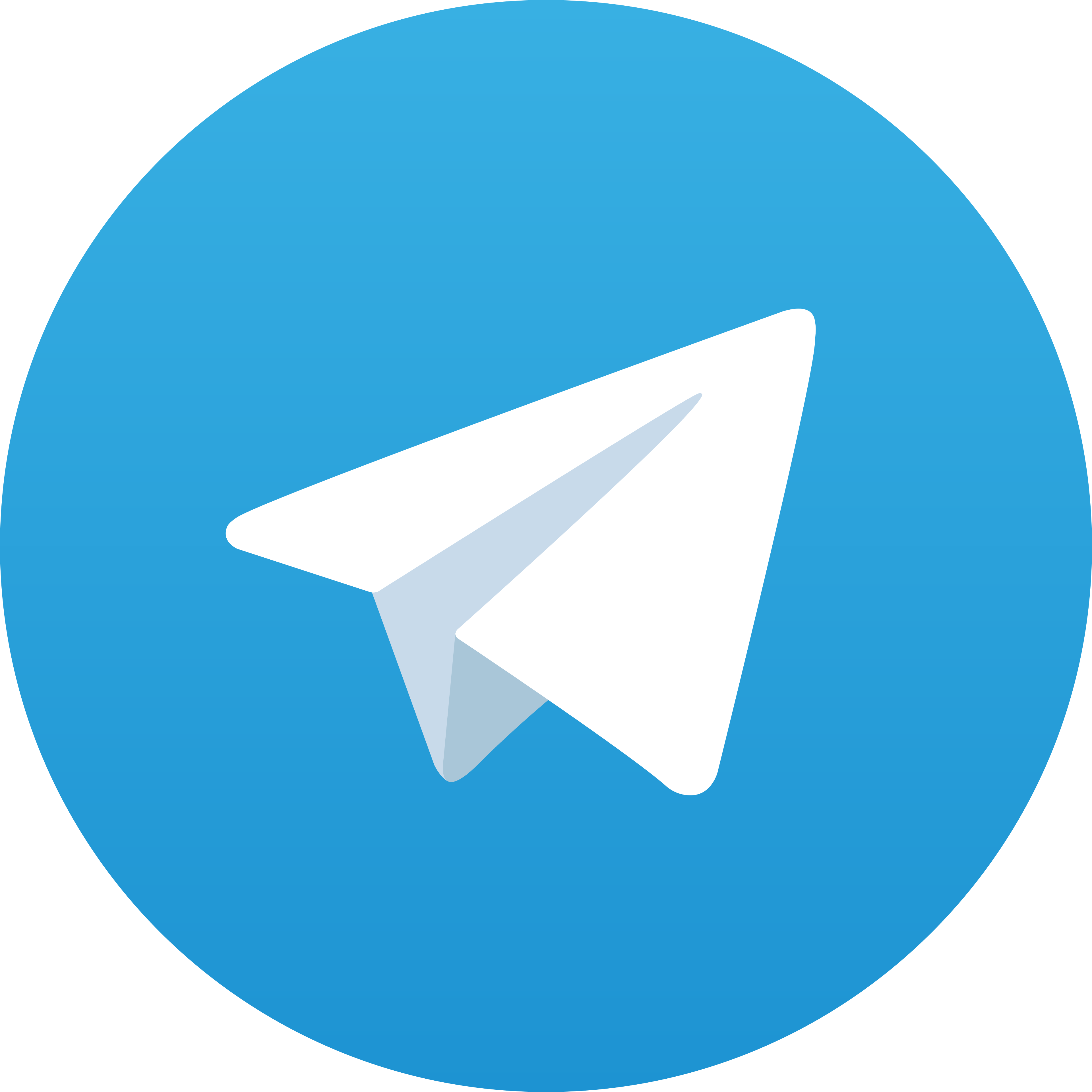Telegram Fresh99